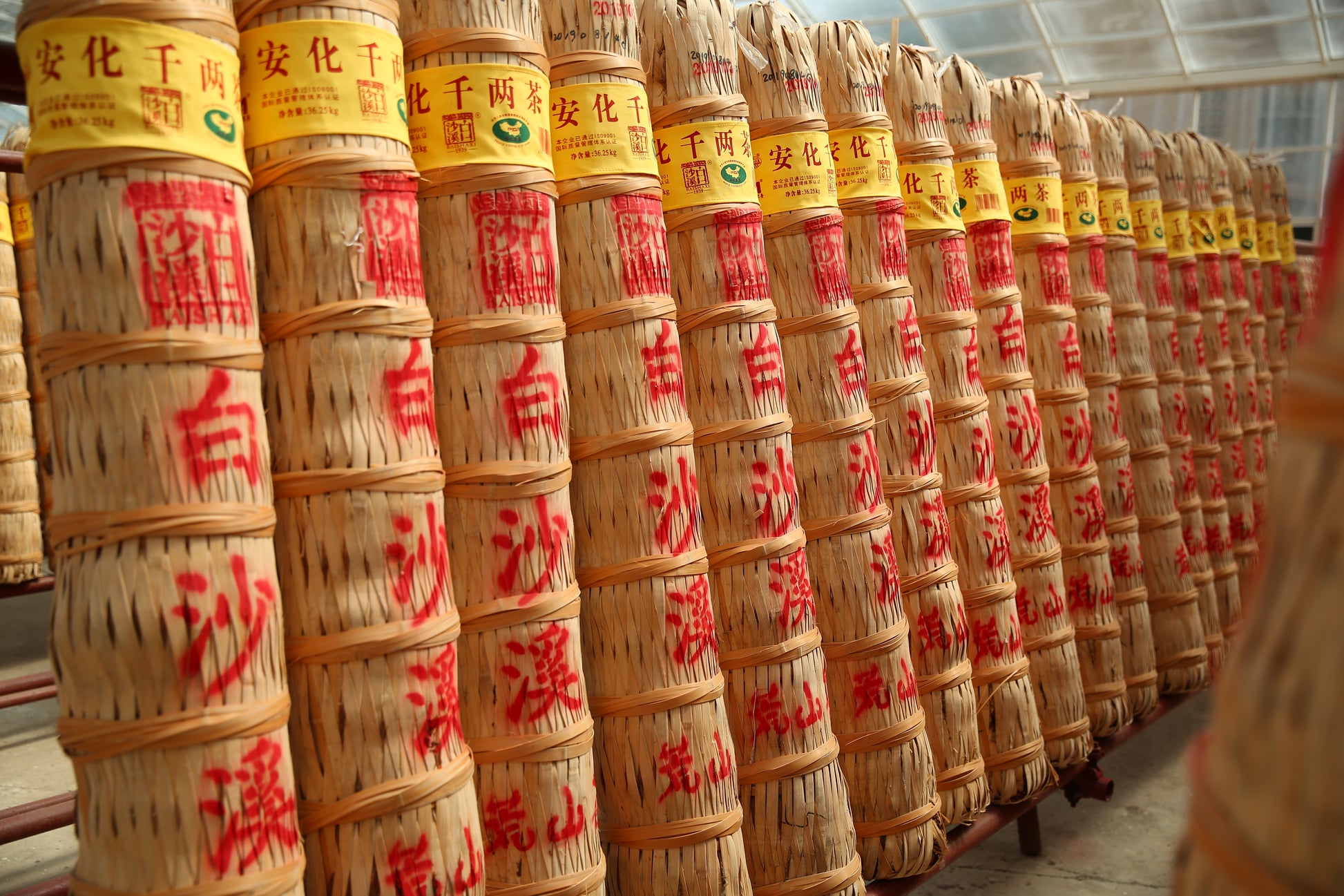 Qian Liang Tea – 2014 Vintage Anhua Dark Tea
