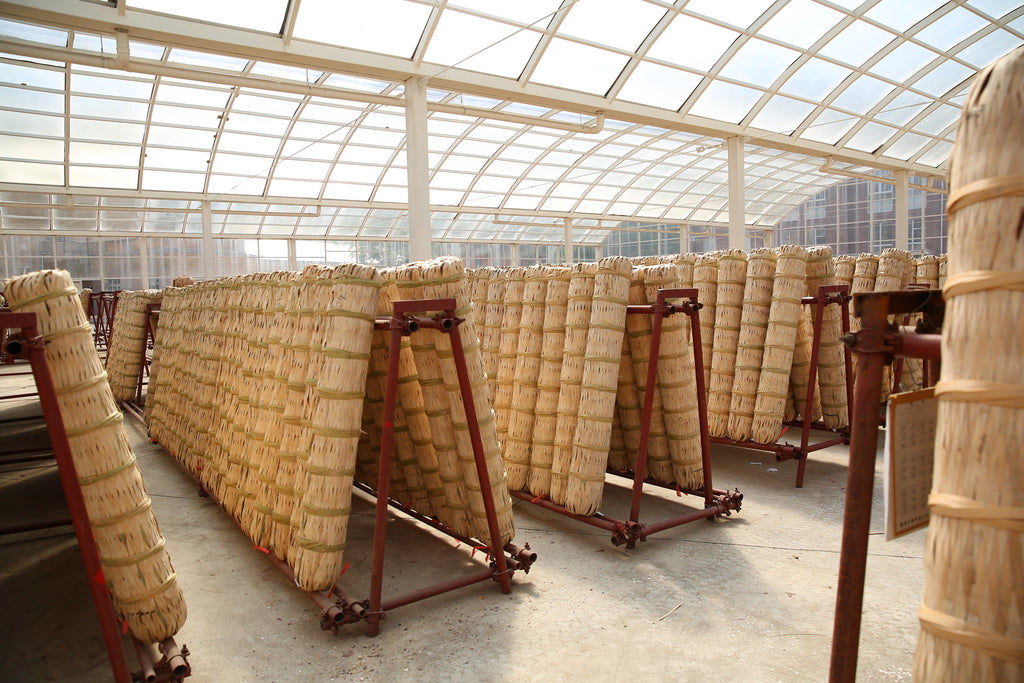 Qian Liang Tea – 2014 Vintage Anhua Dark Tea
