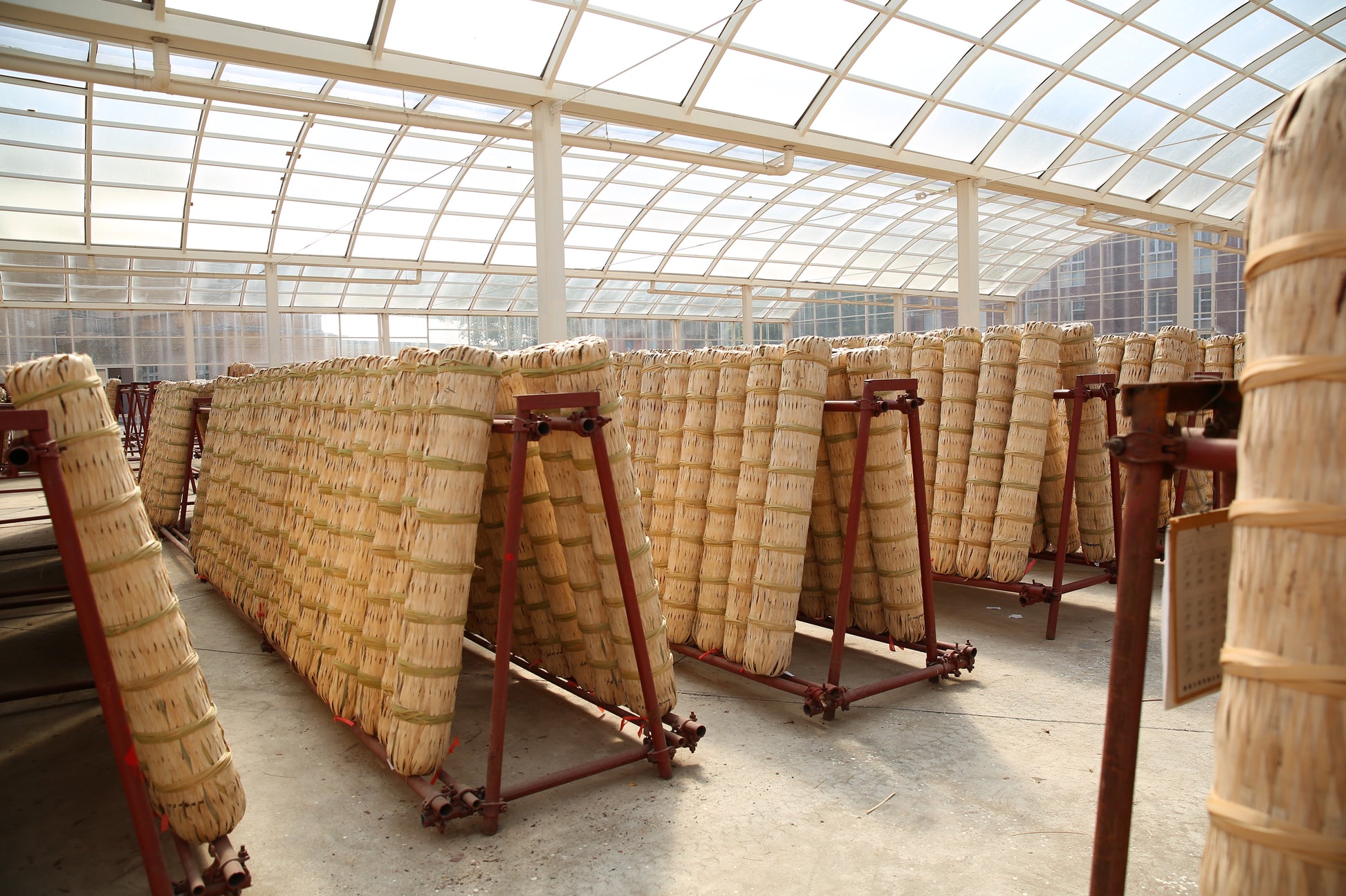 Qian Liang Tea – 2014 Vintage Anhua Dark Tea