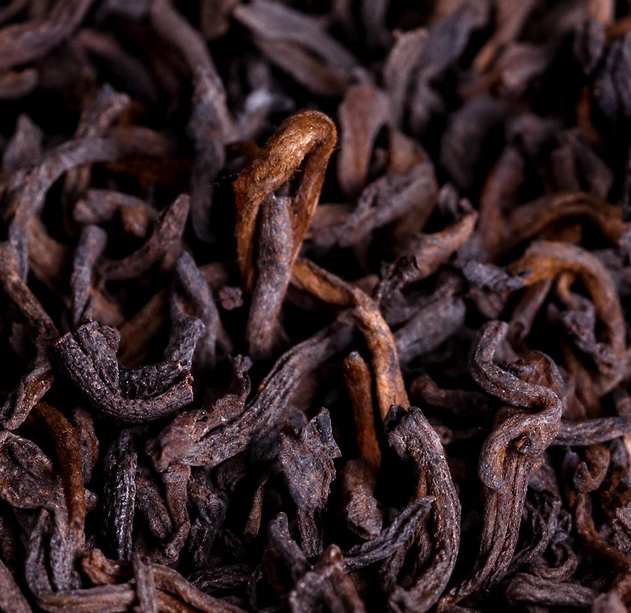 9501 Chen Nian – 1995 Vintage Liu Bao Tea