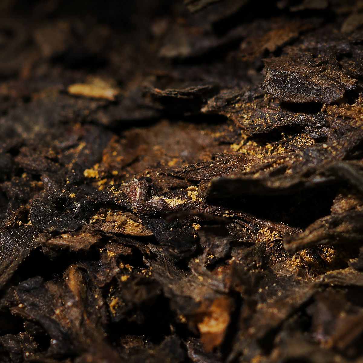 Dragon and Horse –Wild Ancient Tree Fu Brick Tea