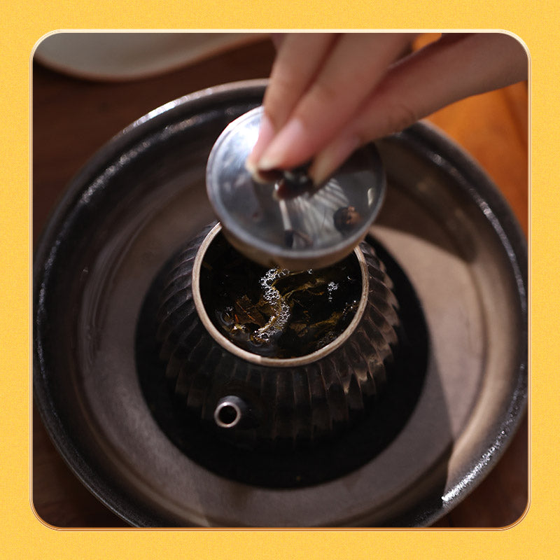 Dragon and Horse –Wild Ancient Tree Fu Brick Tea