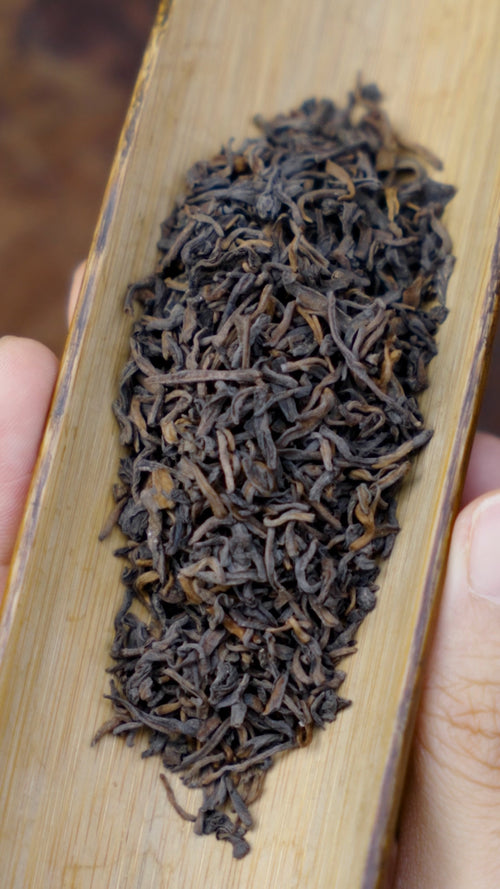 1995 Vintage Liubao Tea 9501 – Premium Buds & Tips, Traditionally Crafted