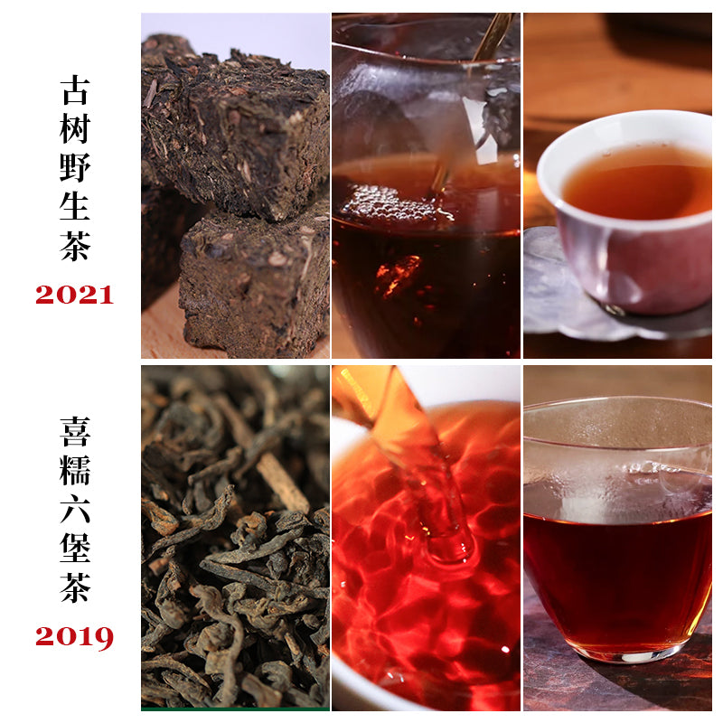 Chujian –  Liu Bao Tea 8-in-1 Sampler Set 56g (7g x 8)