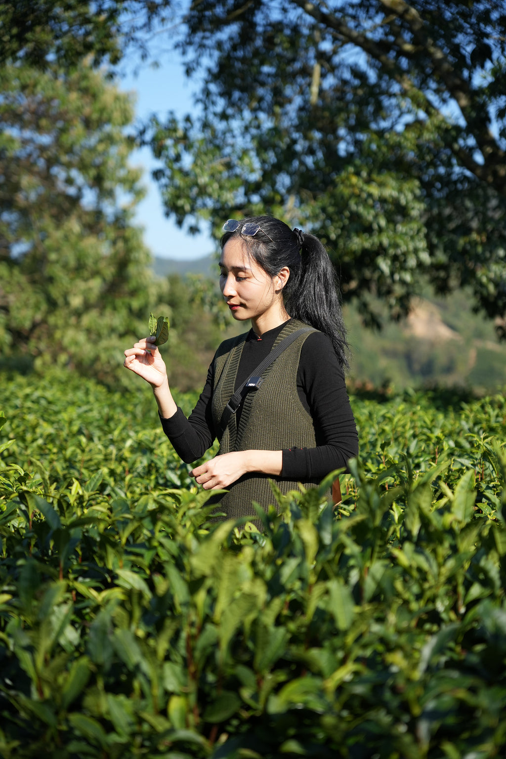 Premium Keemun Black Tea