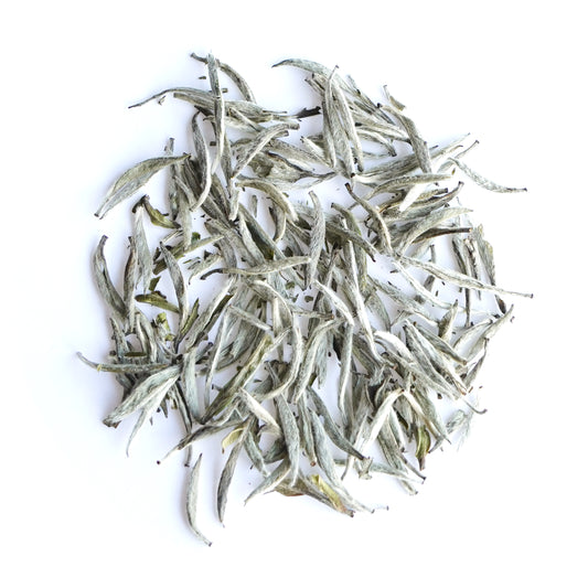 White Hair Silver Needle (Bai Hao Yin Zhen) White Tea