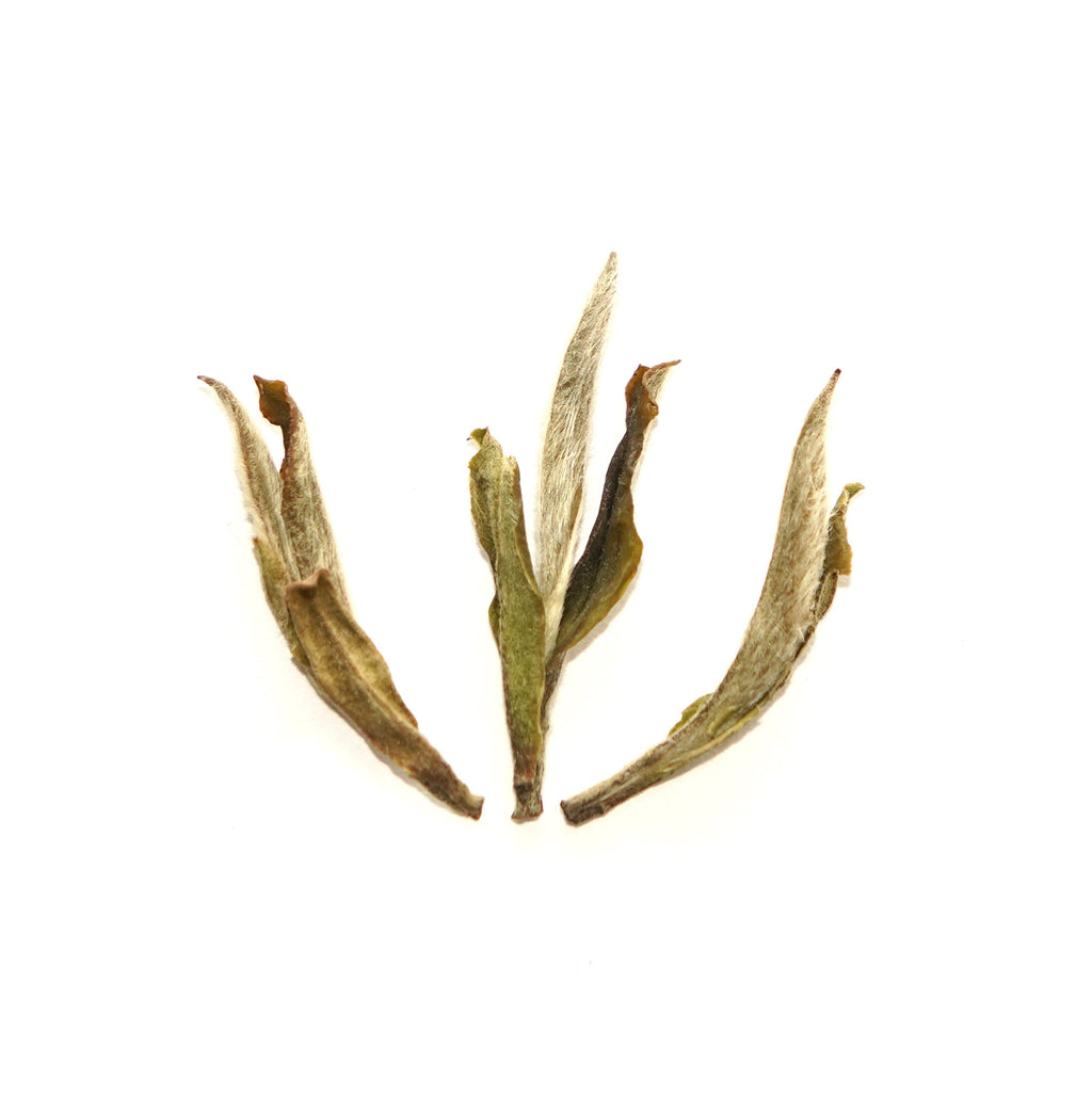CTA White Peony King White Tea Gift Box-3 Packs