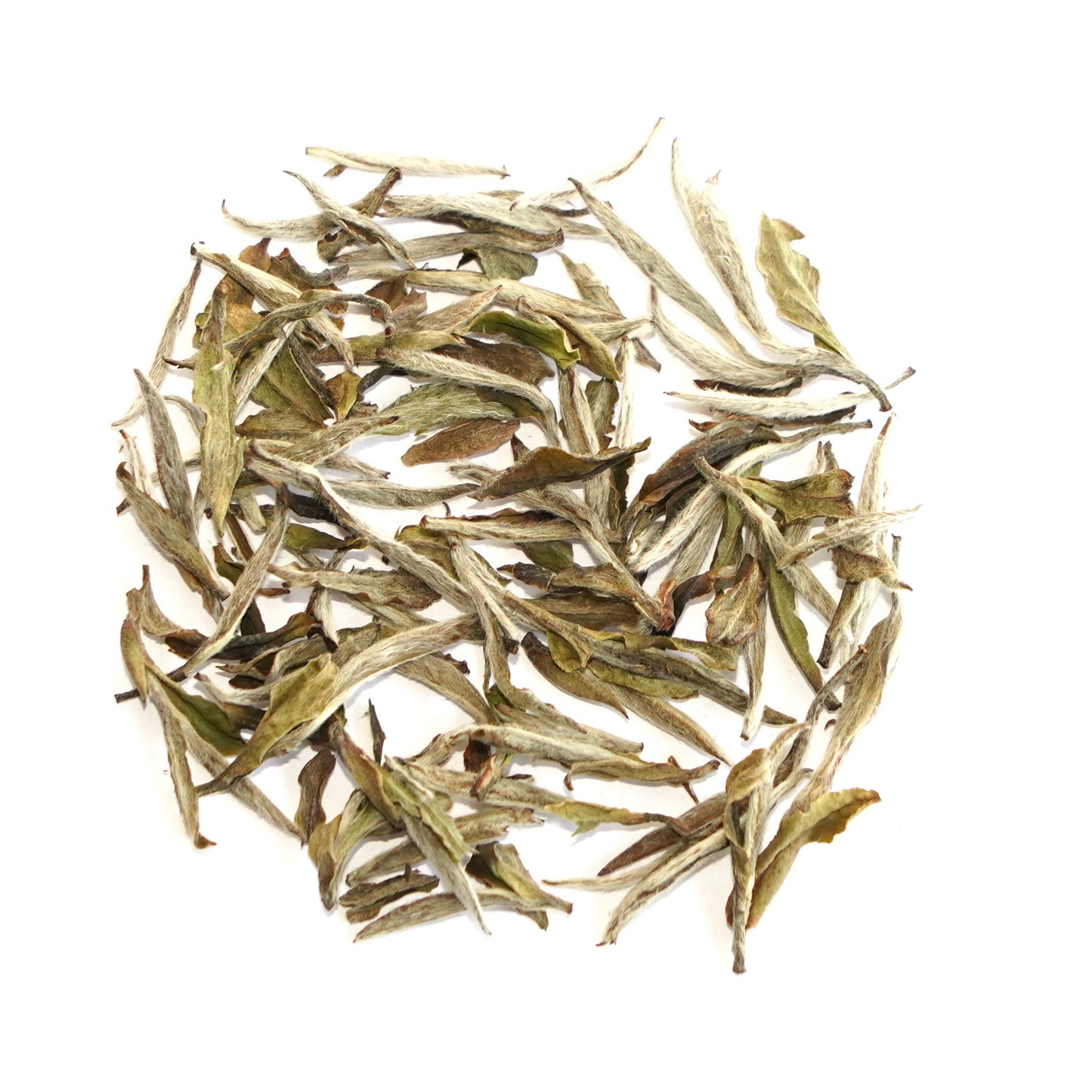 White Peony King (Bai Mudan Wang) White Tea