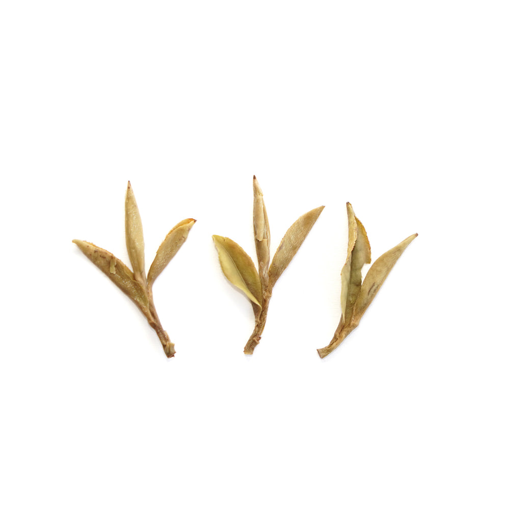 CTA White Peony King White Tea Gift Box-3 Packs