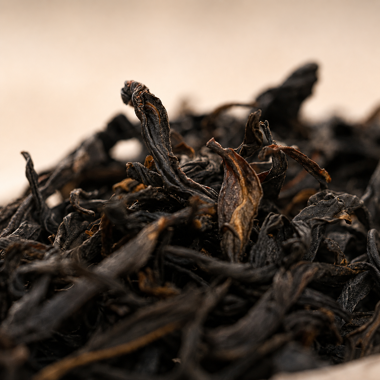 Mi Lan Xiang – Old Bush Honey Orchid Fenghuang Dancong Oolong Tea