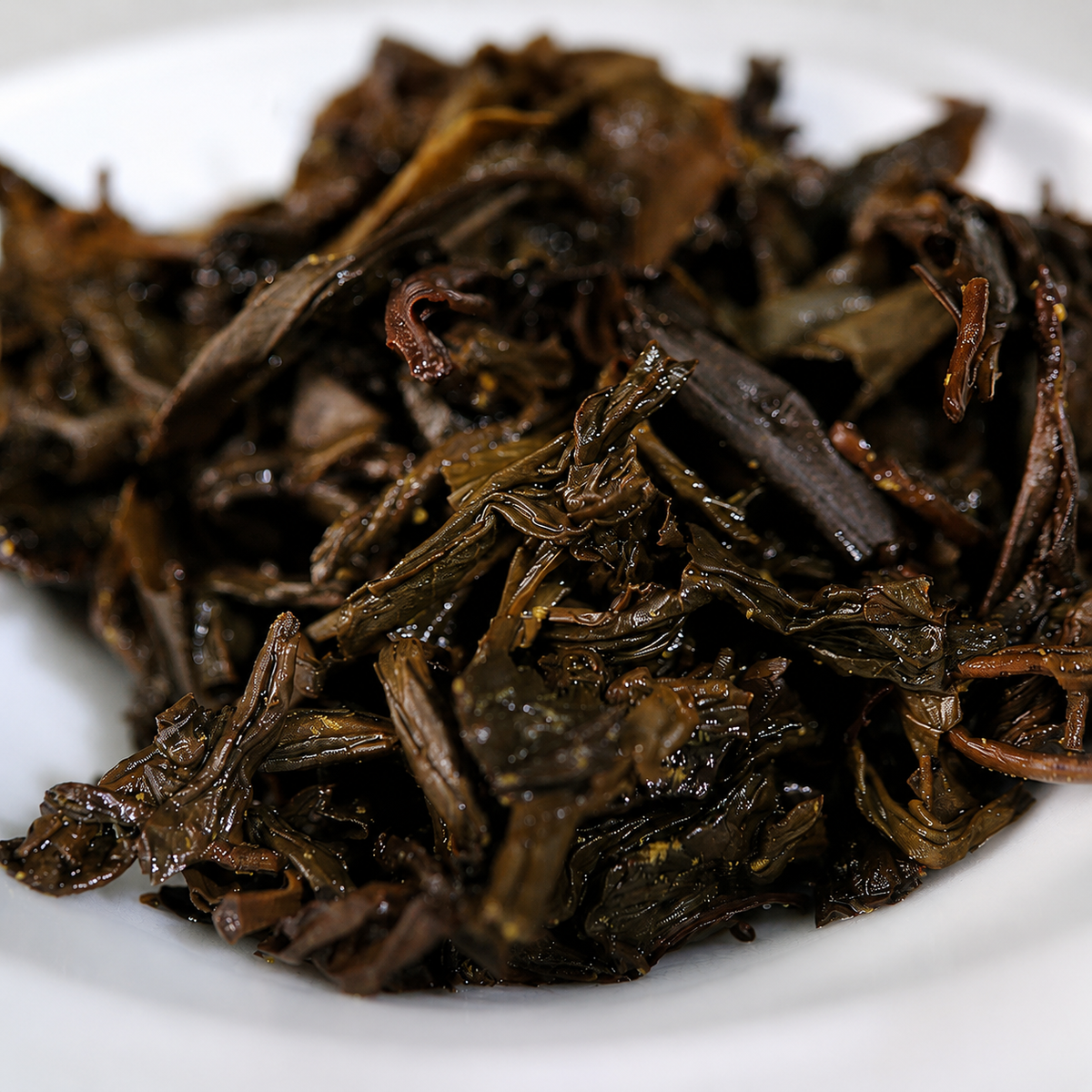 Forest Mist – 2022 Anhua Fu Brick Dark Tea Heicha