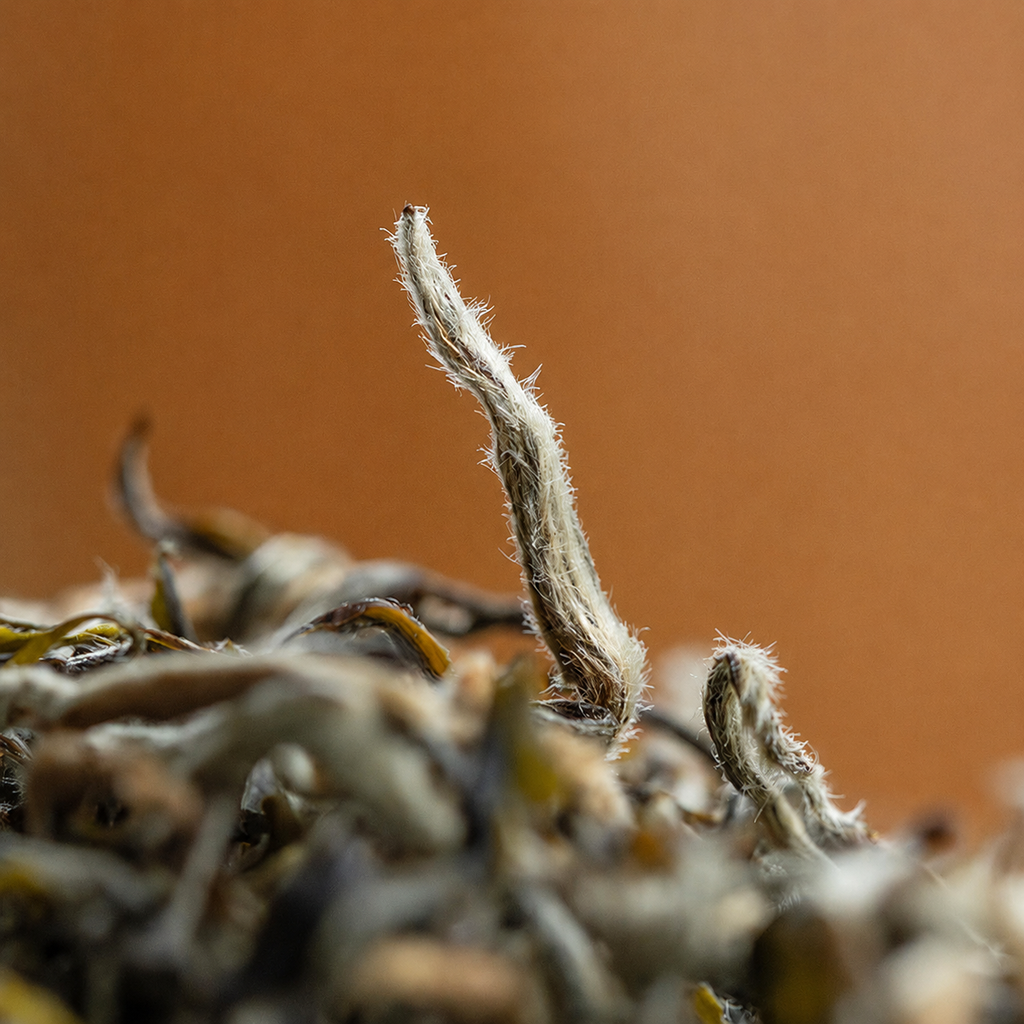 Huang Guan – Yueyang Yellow Tea Buds
