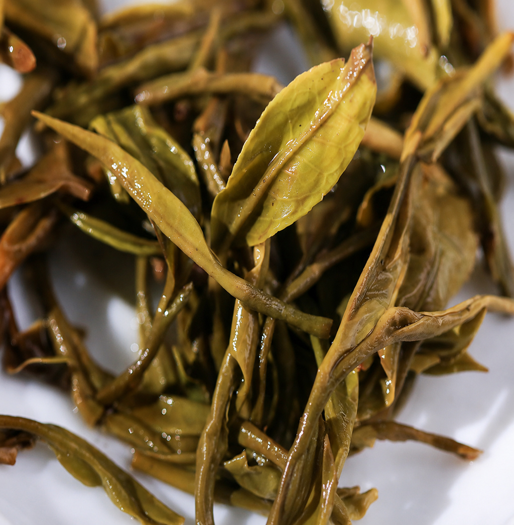 Sheqian – Liu Bao Tea