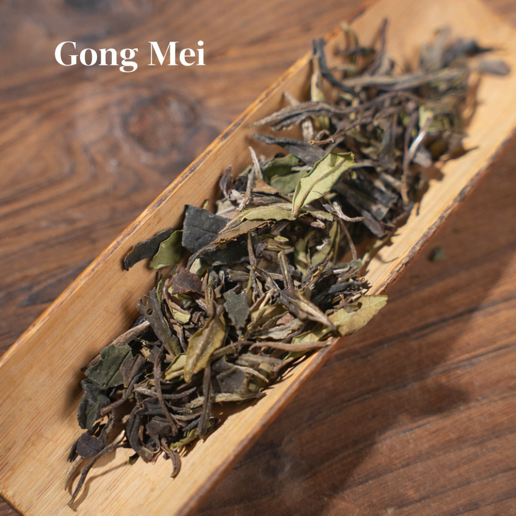 The Beauty of White Tea Cultivars – Zhenghe White Tea Tasting Set