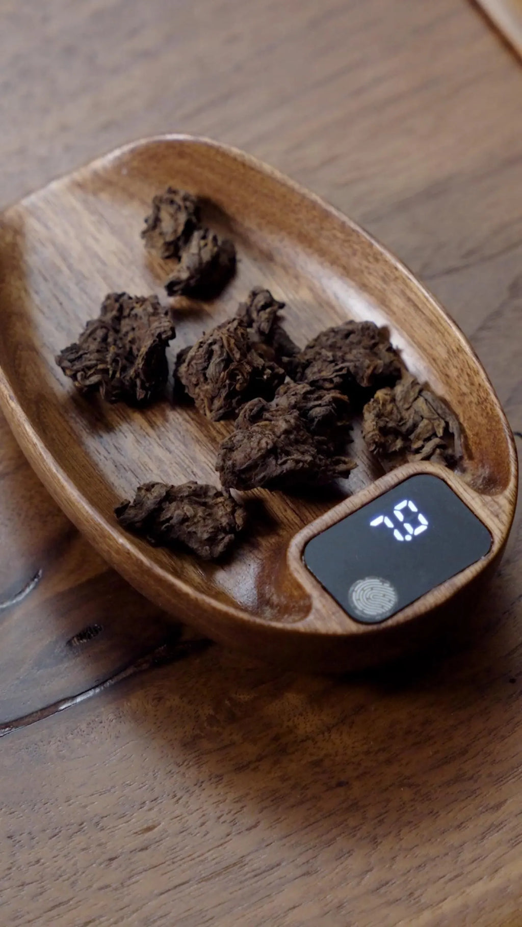 Small Tea Heads – 2020 Mengsong Ripe Puerh Tea