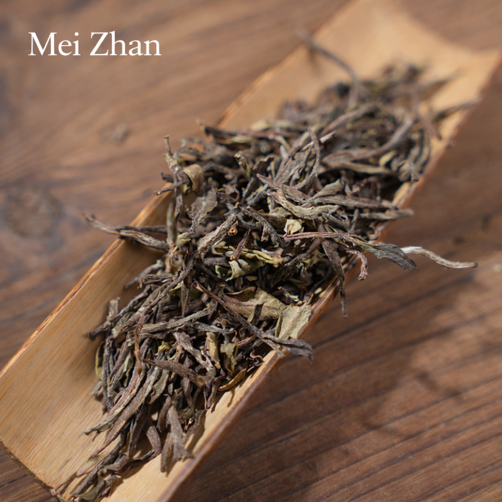 The Beauty of White Tea Cultivars – Zhenghe White Tea Tasting Set