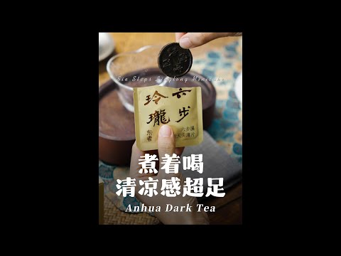 Liubu Linglong Anhua Dark Tea | Wild Old Tree Tianjian Tea Thin Disc