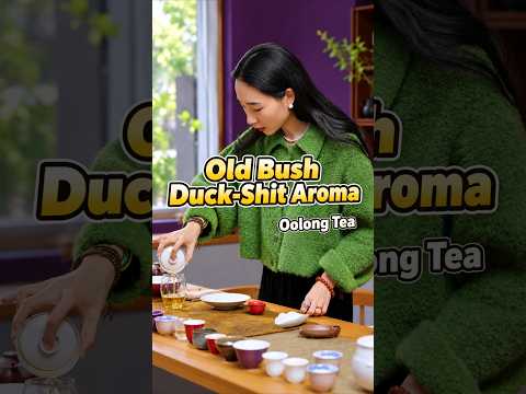 Ya Shi Xiang – Old Bush  Duck Shit Aroma Fenghuang Dancong Oolong Tea
