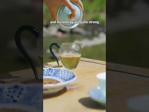 Mo Ming Xiang | Jasmine Pu-erh Sheng (raw) Tea