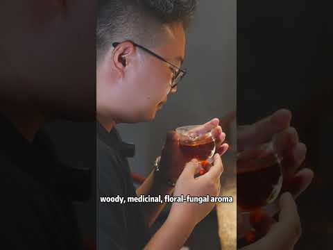 2012 Zuiyin Tianlu Anhua Dark Tea
