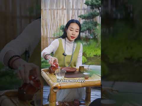 2025 First Harvest Jingshan Tea