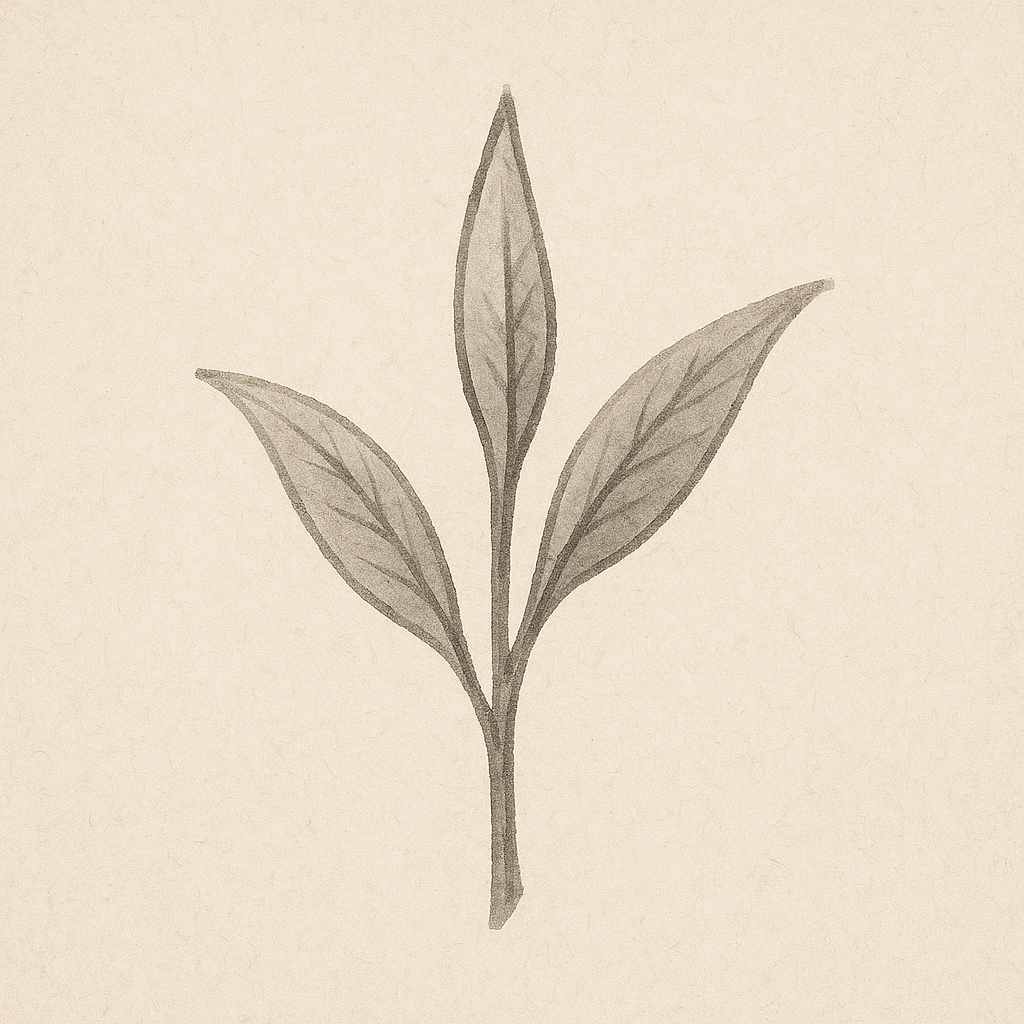 Tea Bud