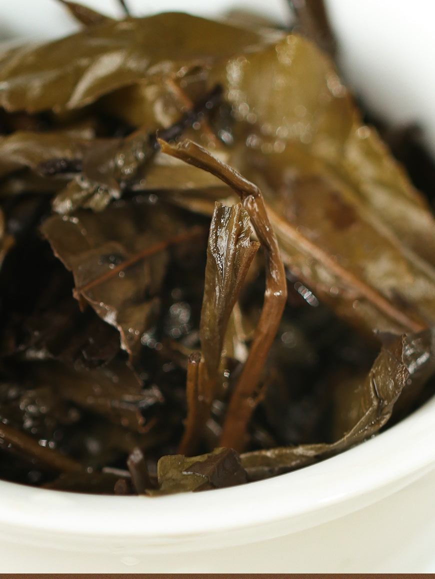 Shiliang Tea – Anhua Ten-Tael Dark Tea Heicha
