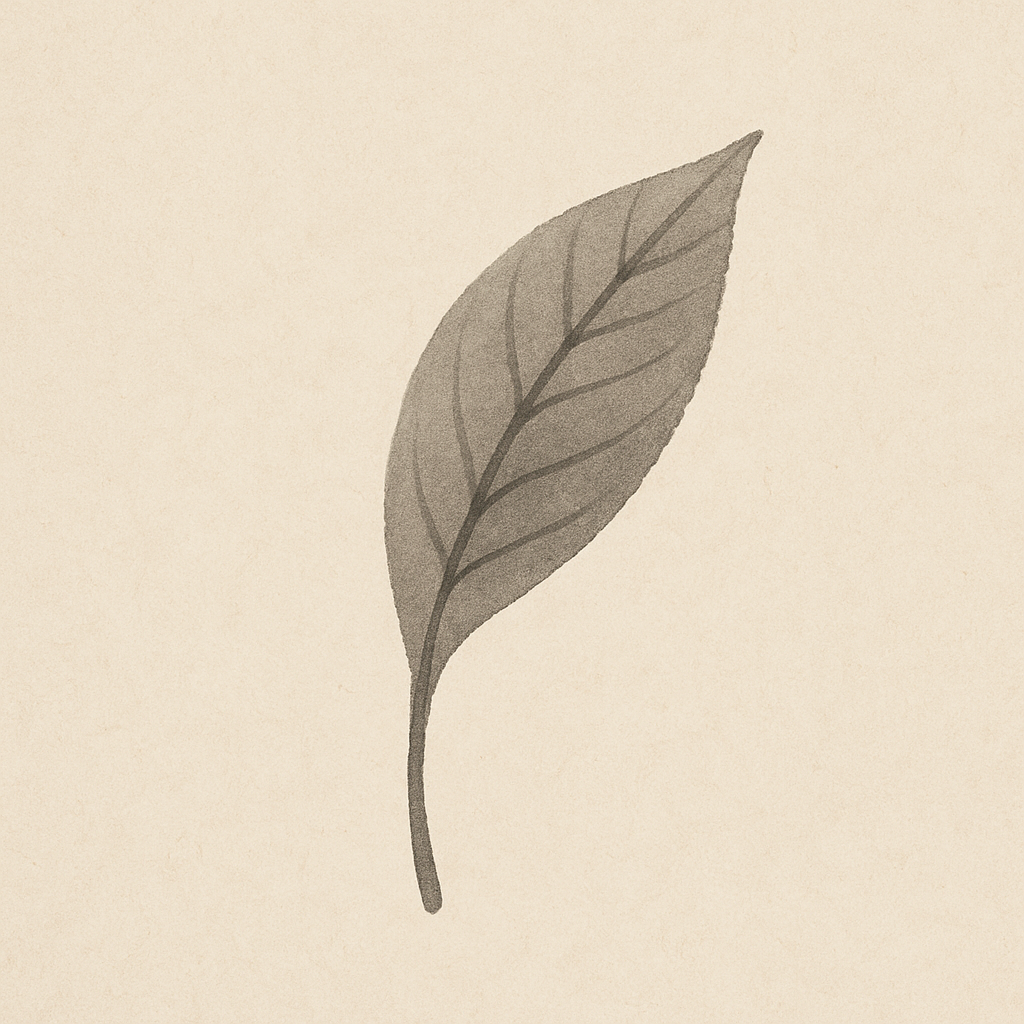 Tea Leaf