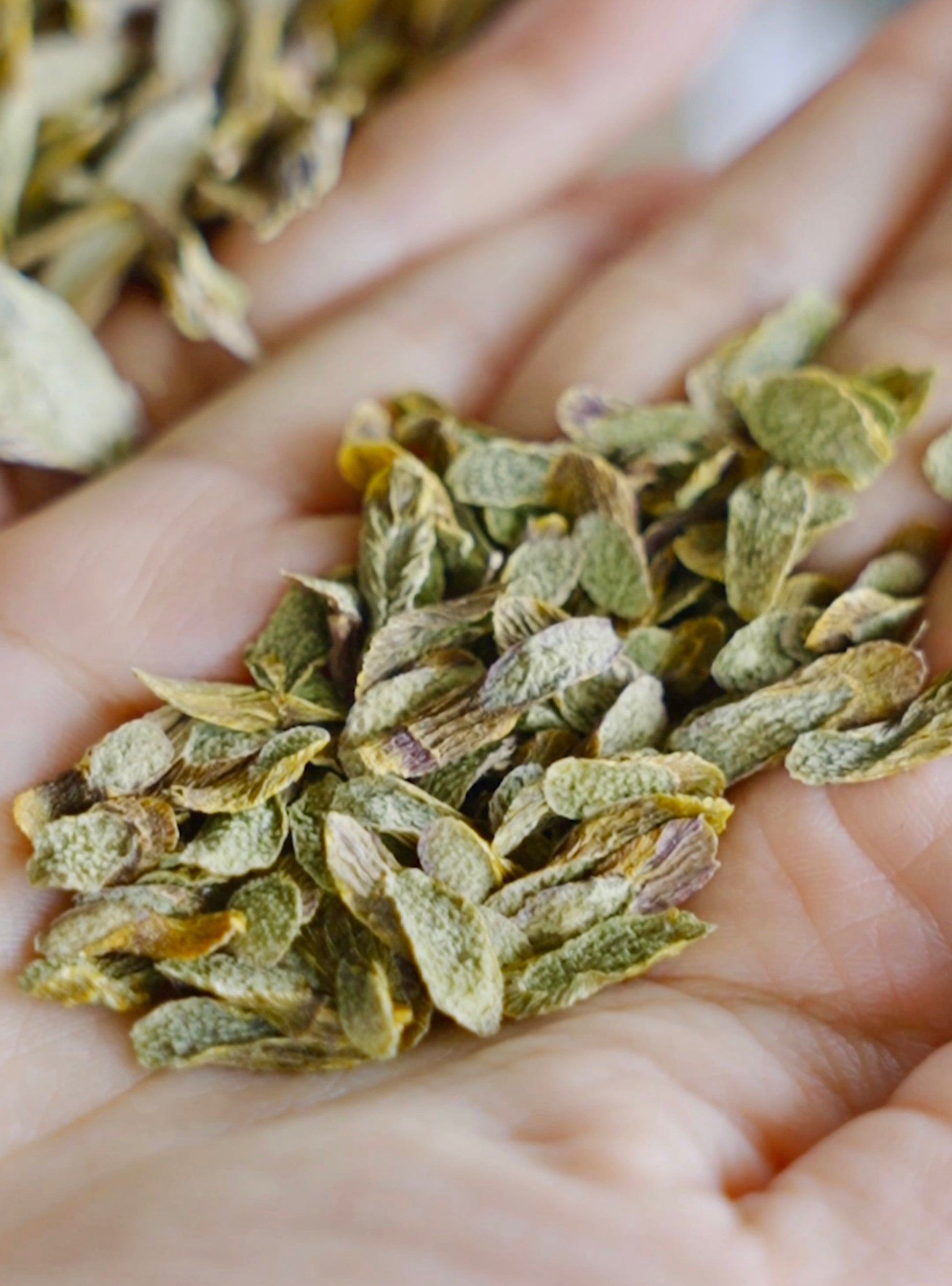 Organic Iron Skin Dendrobium Slices