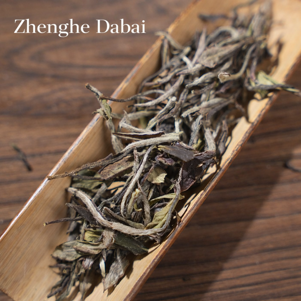 The Beauty of White Tea Cultivars – Zhenghe White Tea Tasting Set